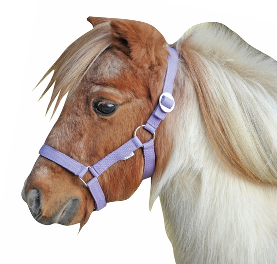 Ohlávka Mini - Shetty