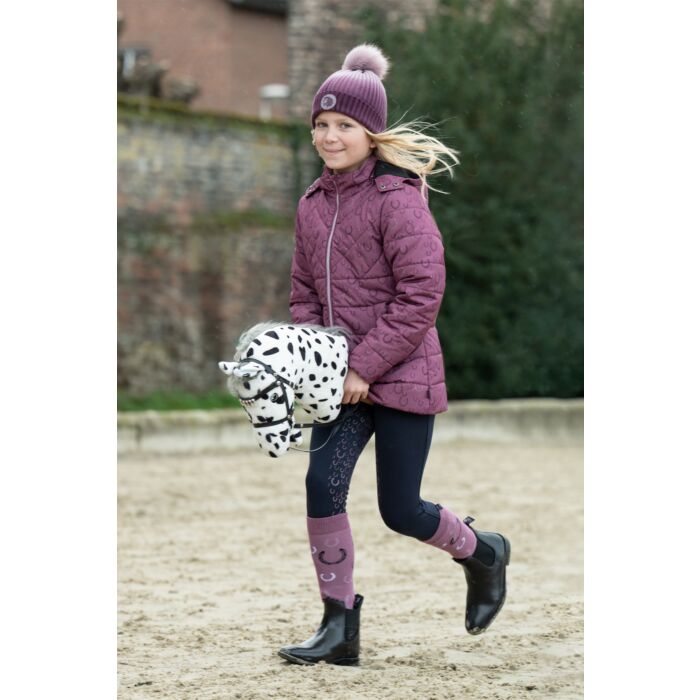 Hobby Horse