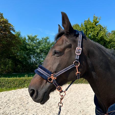 Ohlávka s beránkem GOLD STAR