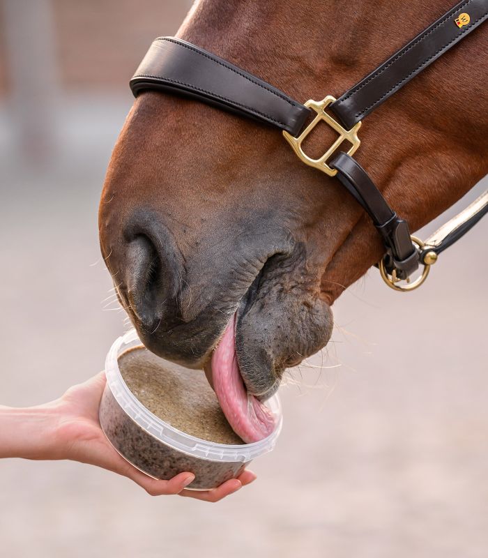 Stable Snack lick bowl