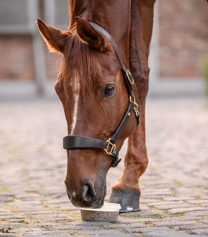 Stable Snack lick bowl