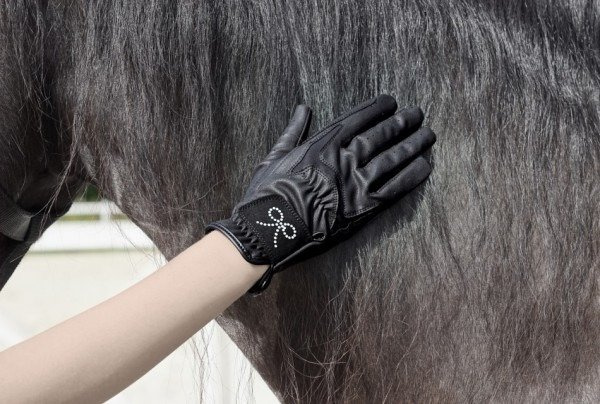 Rukavice HE Equi Crystal