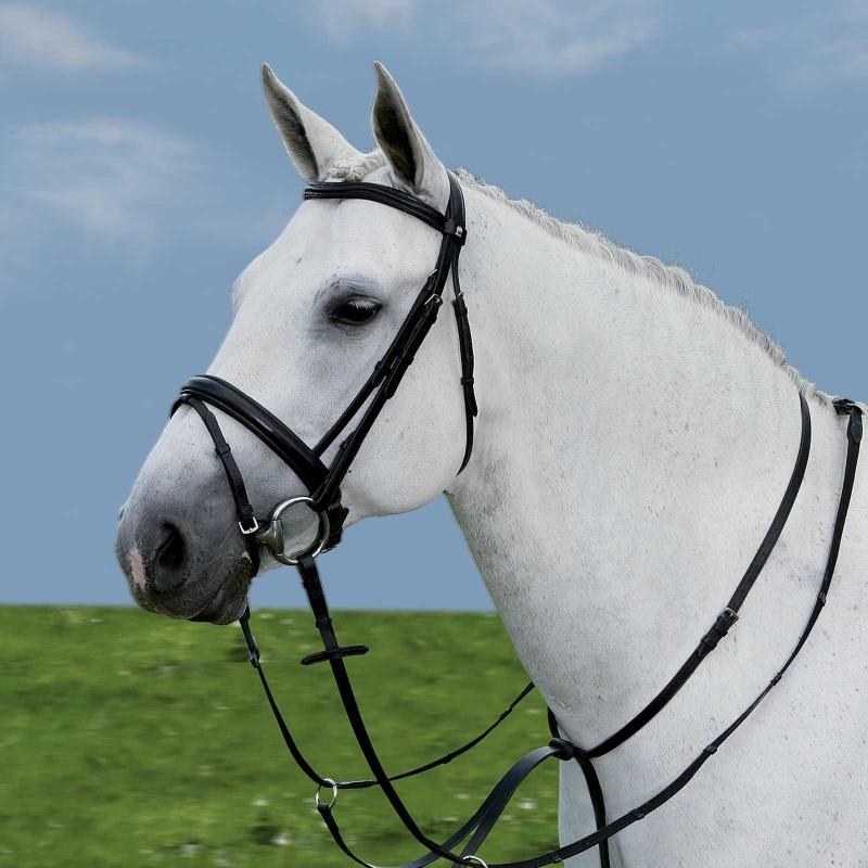 Martingal Star