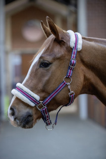 Ohlávka EXTRA STYLE