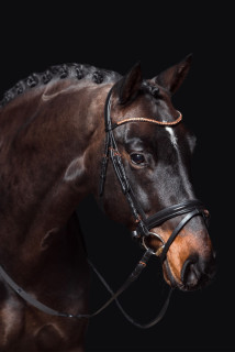 Uzdečka ROSEGOLD GLAMOUR