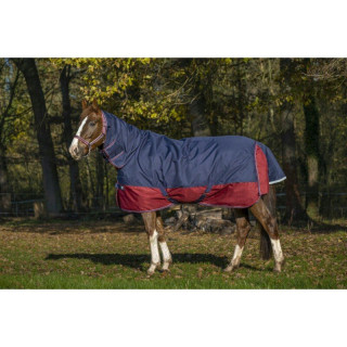 Výběhová deka COMBO EquiTheme TYREX 200g